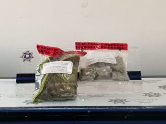 La evidencia asegurada