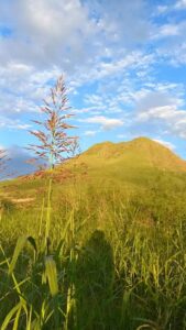 Cerro Grande 